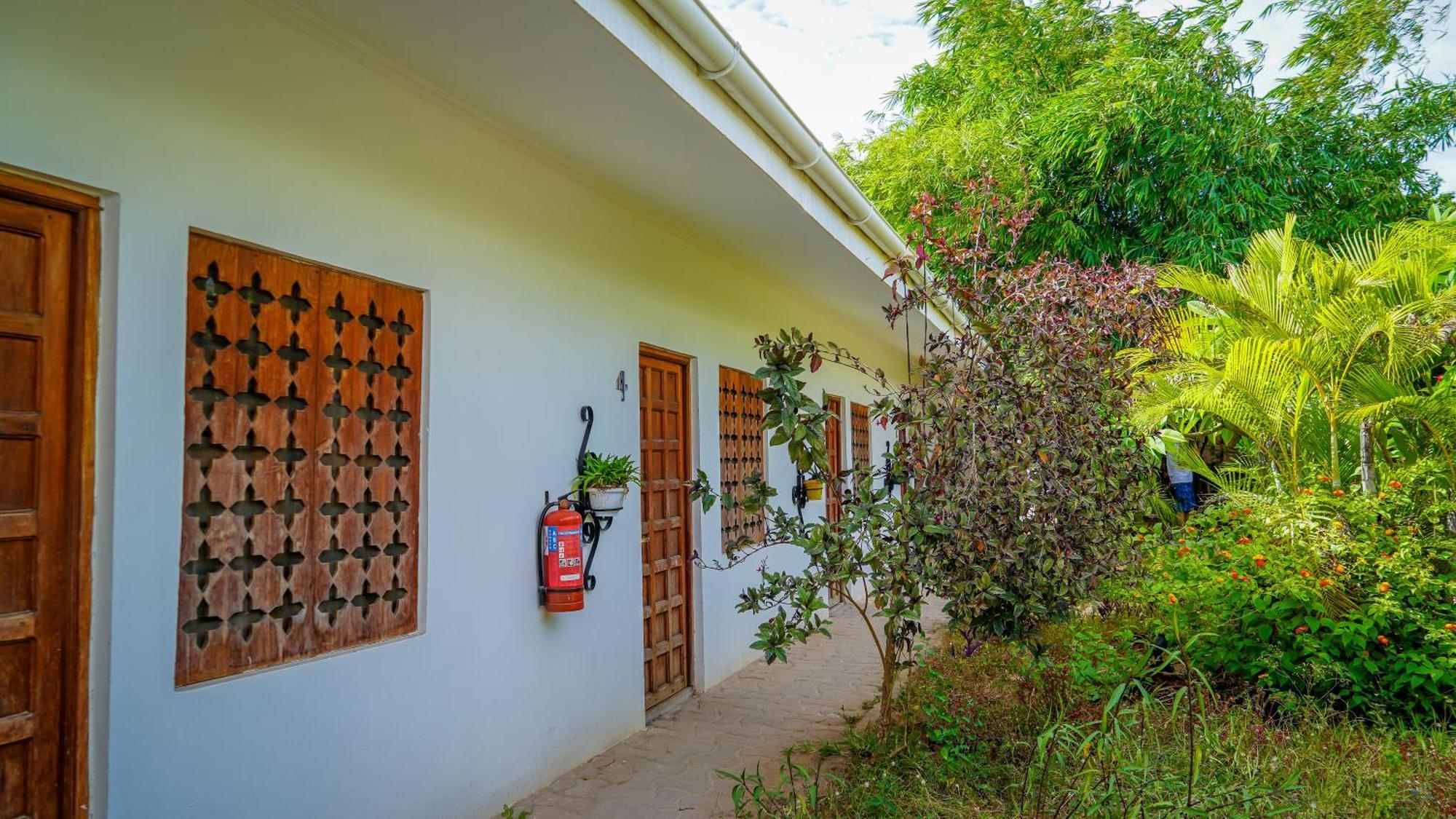 Nungwi House住宿加早餐旅馆 外观 照片